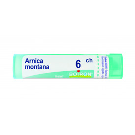 Arnica Montana 6ch Gr