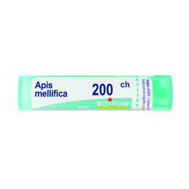 Apis Mellifica 200ch Gr