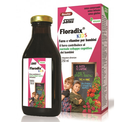 Floradix 250ml