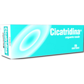 Cicatridina Unguento Nas 15g Cicatridina Unguento Nas 15g
