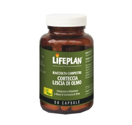 Corteccia Liscia Di Olmo 50cps