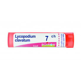 Lycopodium Clavatum 7ch 80gr