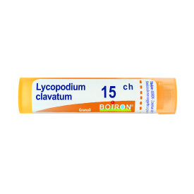 Lycopodium Clavatum 15ch 80gr