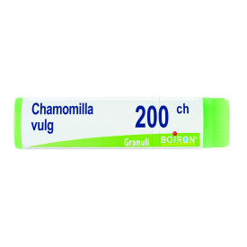 Chamomilla Vulgaris 200ch Gl1g