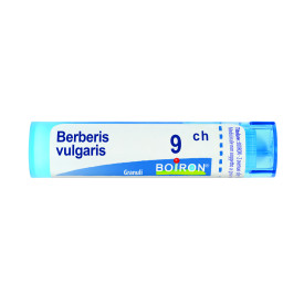 Berberis Vulgaris 9ch 80gr 4g