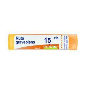 Ruta Graveolens 15ch 80gr 4g