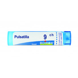 Pulsatilla 9ch 80gr 4g