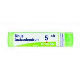 Rhus Toxicodendron 5ch 80gr 4g