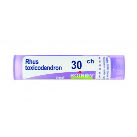 Rhus Toxicodendron 30ch 80gr4g