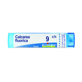 Calcarea Fluorica 9ch 80gr 4g