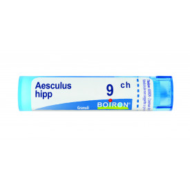 Aesculus Hippocast 9ch Gr