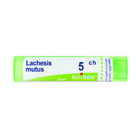 Lachesis Mutus 5ch Gr