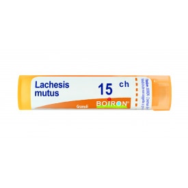 Lachesis Mutus 15ch Gr