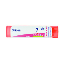 Silicea 7ch Gr