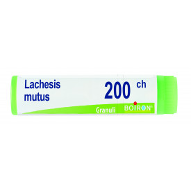 Lachesis Mutus 200ch Gl