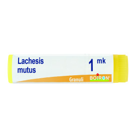Lachesis Mutus Mk Gl