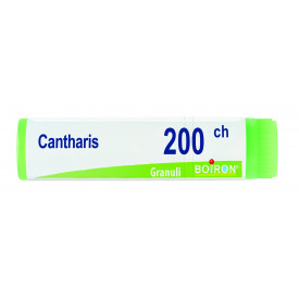 Cantharis 200ch Gl