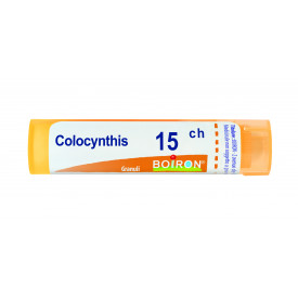 Colocynthis 15ch Gr