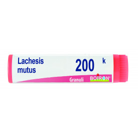 Lachesis Mutus 200k Gl