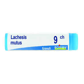 Lachesis Mutus 9ch Gl