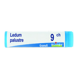 Ledum Palustre 9ch Gl