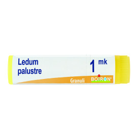 Ledum Palustre Mk Gl