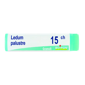 Ledum Palustre 15ch Gl