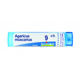 Agaricus Muscarius 9ch Gr