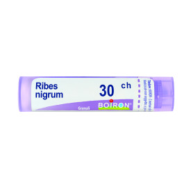 Ribes Nigrum 30ch Gr