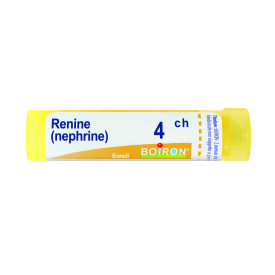 Renine 4ch Gr