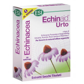 Echinaid Urto 30cps