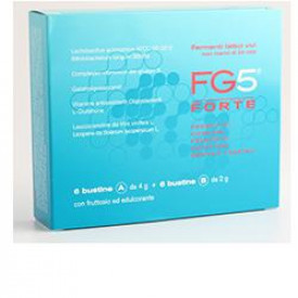 Fg5 Forte 6bust A+6bust B
