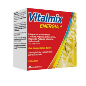 Vitalmix Energia + 20bust