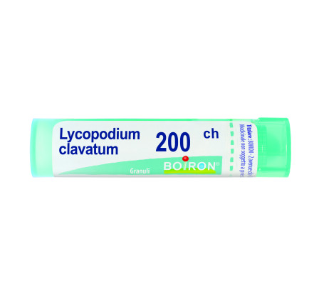 Lycopodium Clavatum 200ch80gr