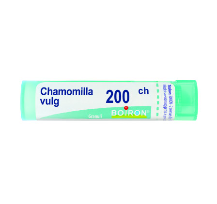 Chamomilla Vulgaris 200ch Gr4g
