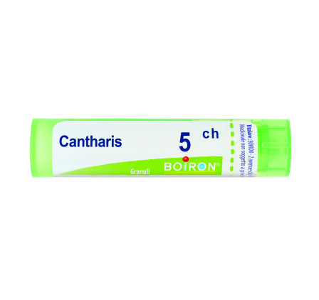 Cantharis 5ch Gr