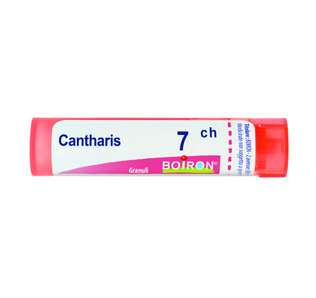 Cantharis 7ch Gr