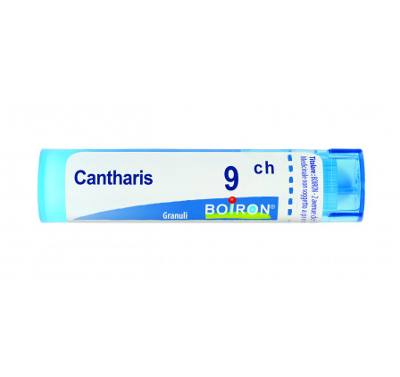 Cantharis 9ch Gr
