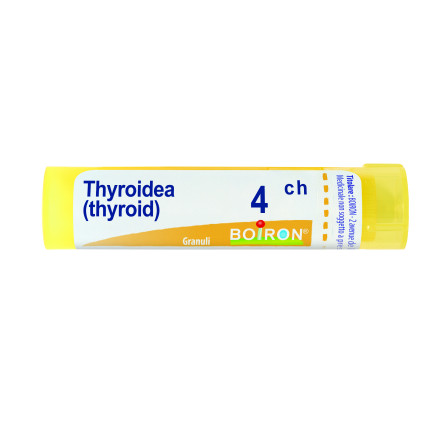 Thyroidinum 4ch Gr