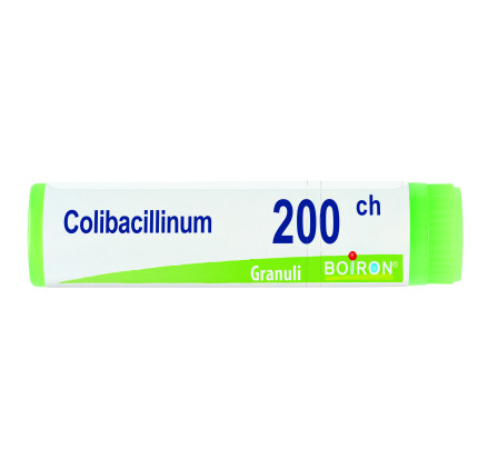 Colibacillinum 200ch Gl