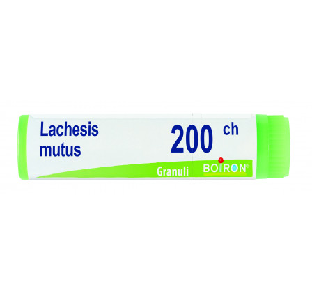 Lachesis Mutus 200ch Gl