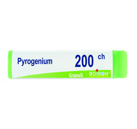 Pyrogenium 200ch Gl