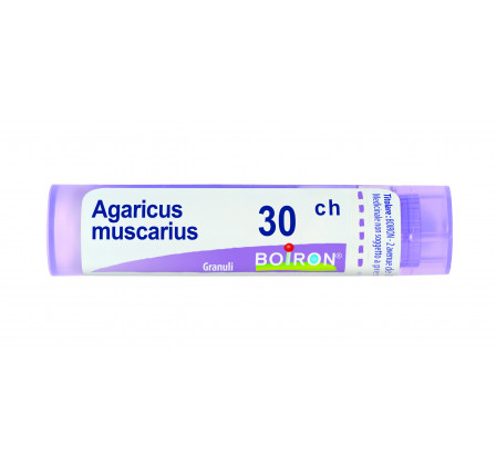 Agaricus Muscarius 30ch Gr