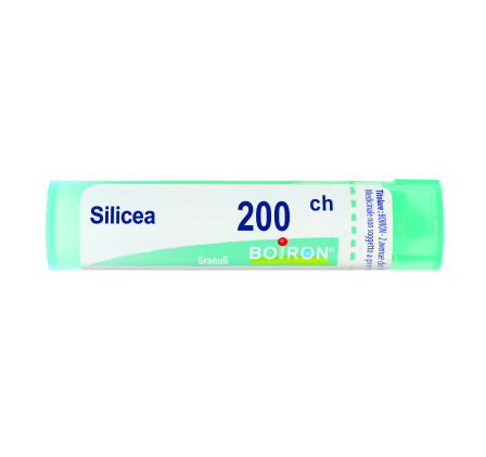 Silicea 200ch Gr