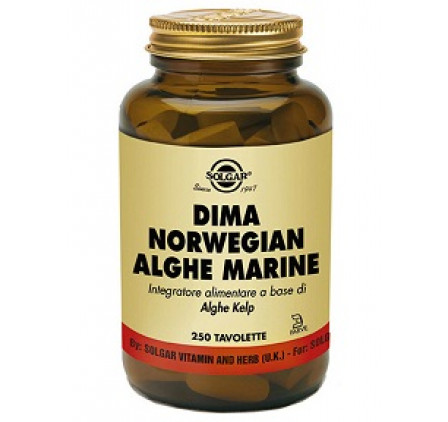 Dima Norwegian Alghe Ma 250tav