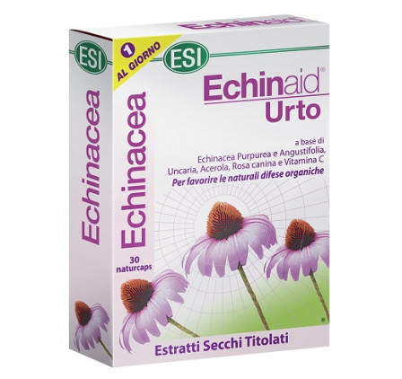 Echinaid Urto 30cps