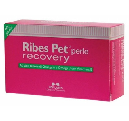 Ribes Pet Recovery 60prl