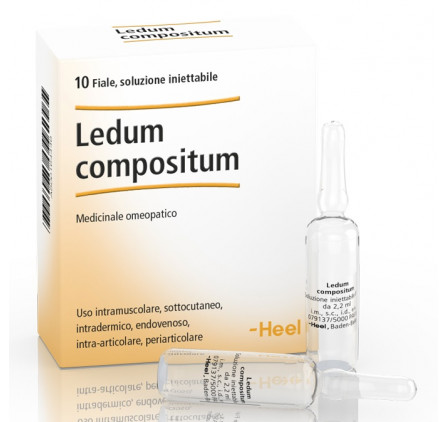 Ledum Comp 10f 2,2ml Heel