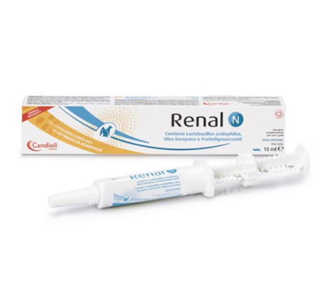 Renal N Pasta 15ml